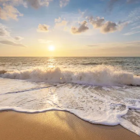 De Nollen P12 - De Nollen