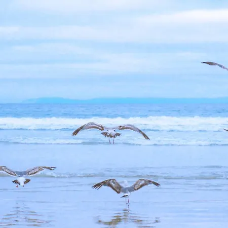 De Nollen P12 - De Nollen Chalé Callantsoog